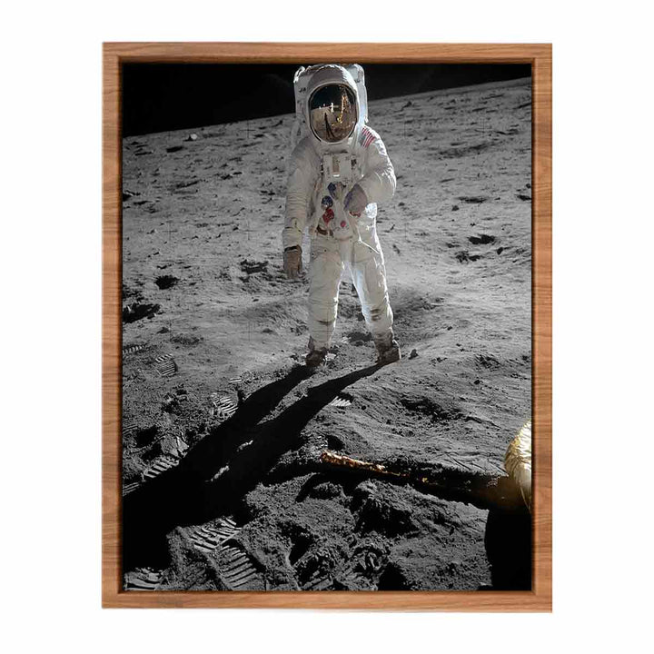 Astronaut  Walk   on Moon  Poster