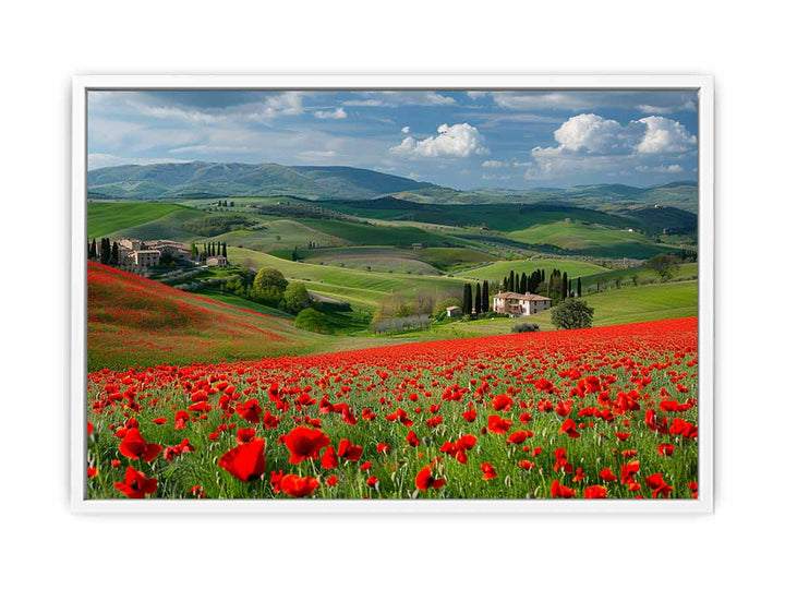 Field Of Poppies Canvas Print