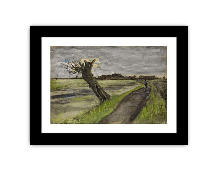 Pollard Willow By Van Gogh Framed Print